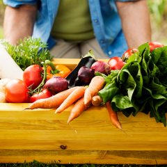 verduras en LAS PEDROÑERAS